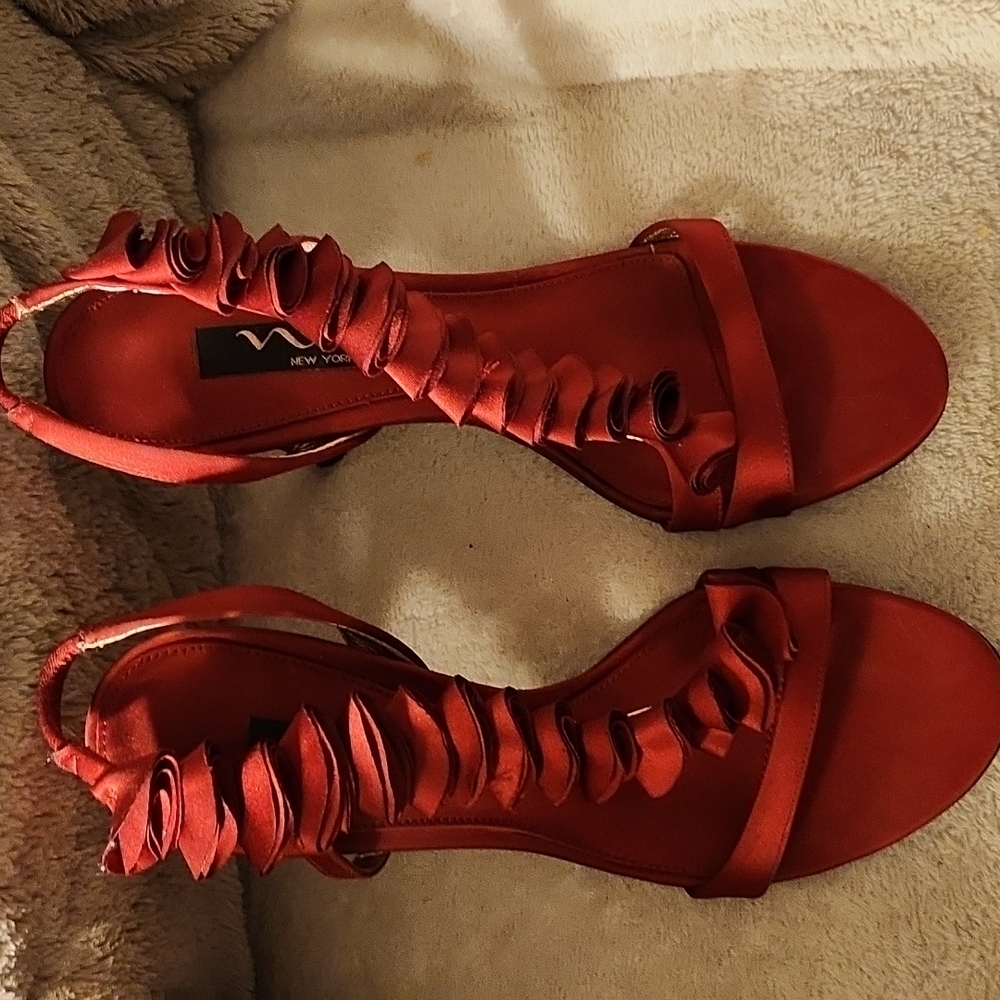 Dressy Nina heels. Great condition!